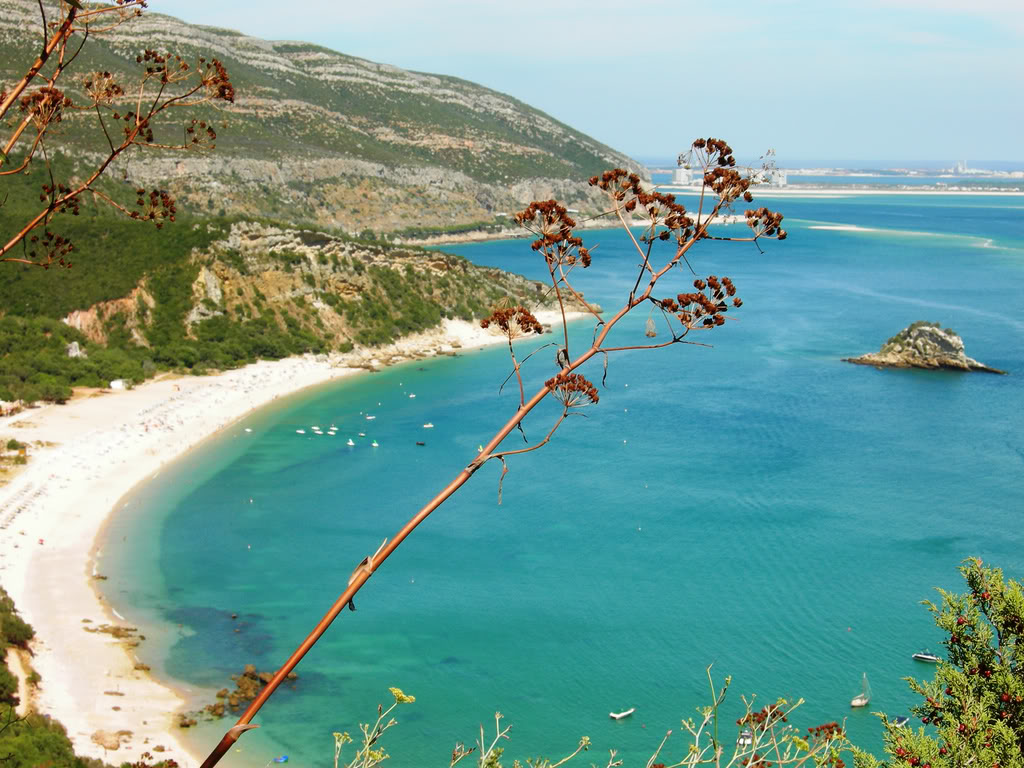 PRIVATE COOL ARRÁBIDA FULL DAY TOUR